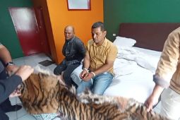 Polda Sumut tangkap dua pelaku  diduga penjual kulit harimau