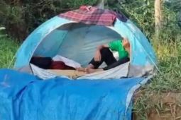 UPTD PPA Kaltim tindaklanjuti nasib bocah hidup terlantar di hutan