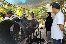 Mahasiswa Unej terapkan inovasi urai limbah kotoran ternak