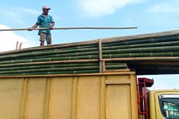 Permintaan naik, petani bambu di Lebak ketiban berkah