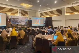 Bangka Tengah susun rencana awal RPJPD