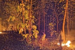 Polres MBD bantu warga padamkan kebakaran hutan dan lahan