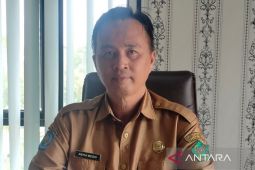 Warga Rejang Lebong diminta waspadai penyebaran DBD