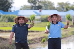 Danlanud: Penanaman padi jadi contoh peningkatan produktivitas