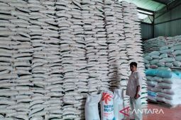 Bulog Rejang Lebong jamin stok beras cukup hingga akhir tahun 2023