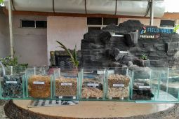 Pertamina ciptakan Talita turunkan kandungan pencemar air limbah domestik