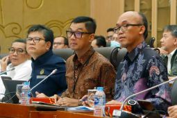 Komisi VII DPR RI apresiasi upaya PLN jalankan langkah dekabornisasi