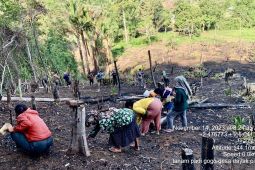 7000 hektare sawah di Balangan siap masuki tanam pertama