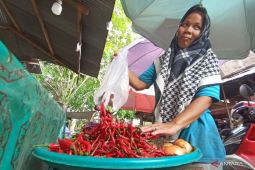 Cabai rawit tembus Rp140 ribu di Tapin Kalsel