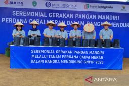 TPID Kota Bengkulu resmikan dua rumah pangan dan 20 ribu bibit cabai