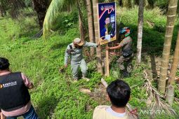 Bawaslu-Satpol-PP Mukomuko tertibkan 1.775 APK melanggar aturan
