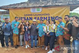 Komunitas Depok ubah lahan tidur jadi pertanian kota