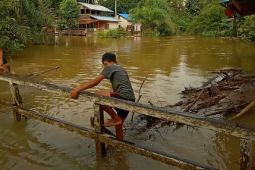 1.242 warga di Landak terdampak banjir