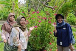 Pejabat Kementerian Pertanian kunjungi Pak Oles Green School