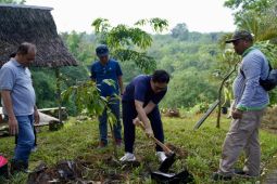 246 ASN Pemkab Hulu Sungai Tengah tanam pohon usai kenaikan pangkat