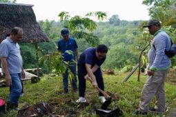 246 ASN Pemkab HST tanam pohon usai kenaikan pangkat