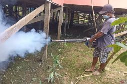 DBD di Kapuas Hulu meningkat jadi 380 kasus