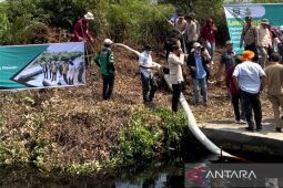 Hingga 2024, BRGM targetkan restorasi 1,4 juta hektare gambut