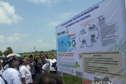 Kementan maksimalkan produksi tebu capai swasembada gula