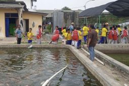 UPT produk benih tanaman Kota Tangerang terbuka untuk umum