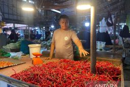 Pemprov Jambi sediakan 14 ton cabai merah untuk operasi pasar