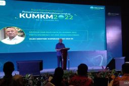 Menkop dan UKM sebut ada 9,11 juta koperasi dan UMKM nonpertanian di Tanah Air