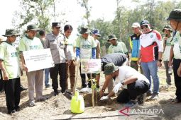 Salurkan Bantuan TJSL Penanamam Pohon 1001 Kelekak, PLN Dukung Green Transformation