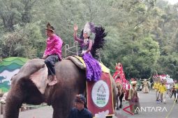 TSI Bogor sambut liburan tahun baru dengan "hutan menyala"