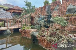 Menikmati keindahan kolam ikan berwarna-warni