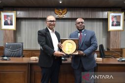 RI dan negara D-8 jajaki  kerja sama peningkatan kapasitas UMKM