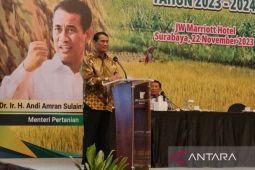 Kementan lakukan percepatan tanam tingkatkan produksi padi-jagung