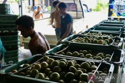 Kalsel kemarin dari sertifikasi produk halal hingga UMK