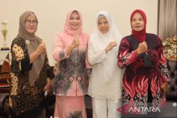 Istri Pj Gubernur Babel satukan visi semua pihak untuk turunkan angka stunting