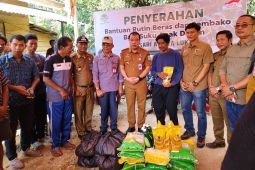 PT SAL berikan bantuan sembako cegah stunting SAD di Merangin