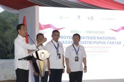 Presiden bangun kawasan industri pupuk pertama di timur Indonesia