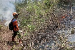 Kebakaran Gunung Panderman di Kota Batu dilaporkan padam