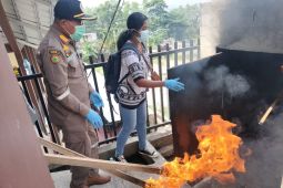 Badan  Karantina Maluku musnahkan hewan pembawa hama penyakit