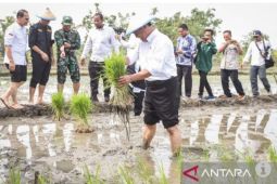 Pupuk Indonesia : Stok Pupuk Bersubsidi capai 1,13 juta ton