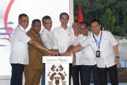 Pemerintah bangun industri pupuk di Papua karena dekat suplai gas