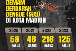 Dinkes Kota Madiun minta warga rajin lakukan PSN saat musim hujan