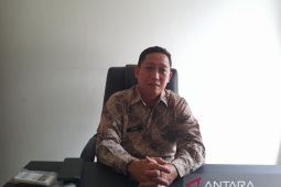 BPBD Bangka Tengah catat 178 kasus karhutla