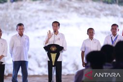 Pupuk Indonesia bangun kawasan industri pupuk di Papua Barat