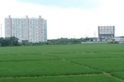 17.970 hektare sawah di Purwakarta tidak bisa dialihfungsikan