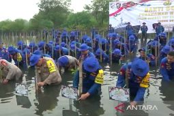 Polairud tanam 73 ribu bibit mangrove lestarikan ekosistem laut