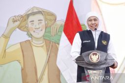 Produksi padi, jagung, pisang tertinggi nasional, Khofifah apresiasi kinerja penyuluh pertanian
