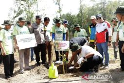 PLN Babel bantu pengembangan bisnis perkebunan warga Bangka