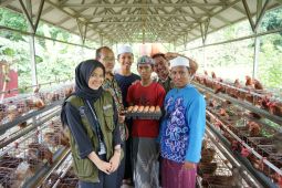 Santri Ponpes Nurul Muhibbin Halong Belajar SOP Budidaya Ayam Petelur