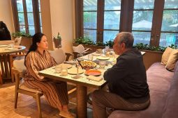 Puan besuk Luhut bahas potensi penyimpanan karbon hingga pemilu