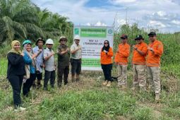 Disbun Kaltim ajak perusahaan waspadai kebakaran lahan