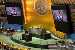 Indonesia: Dewan Keamanan segera ambil langkah untuk situasi di Gaza